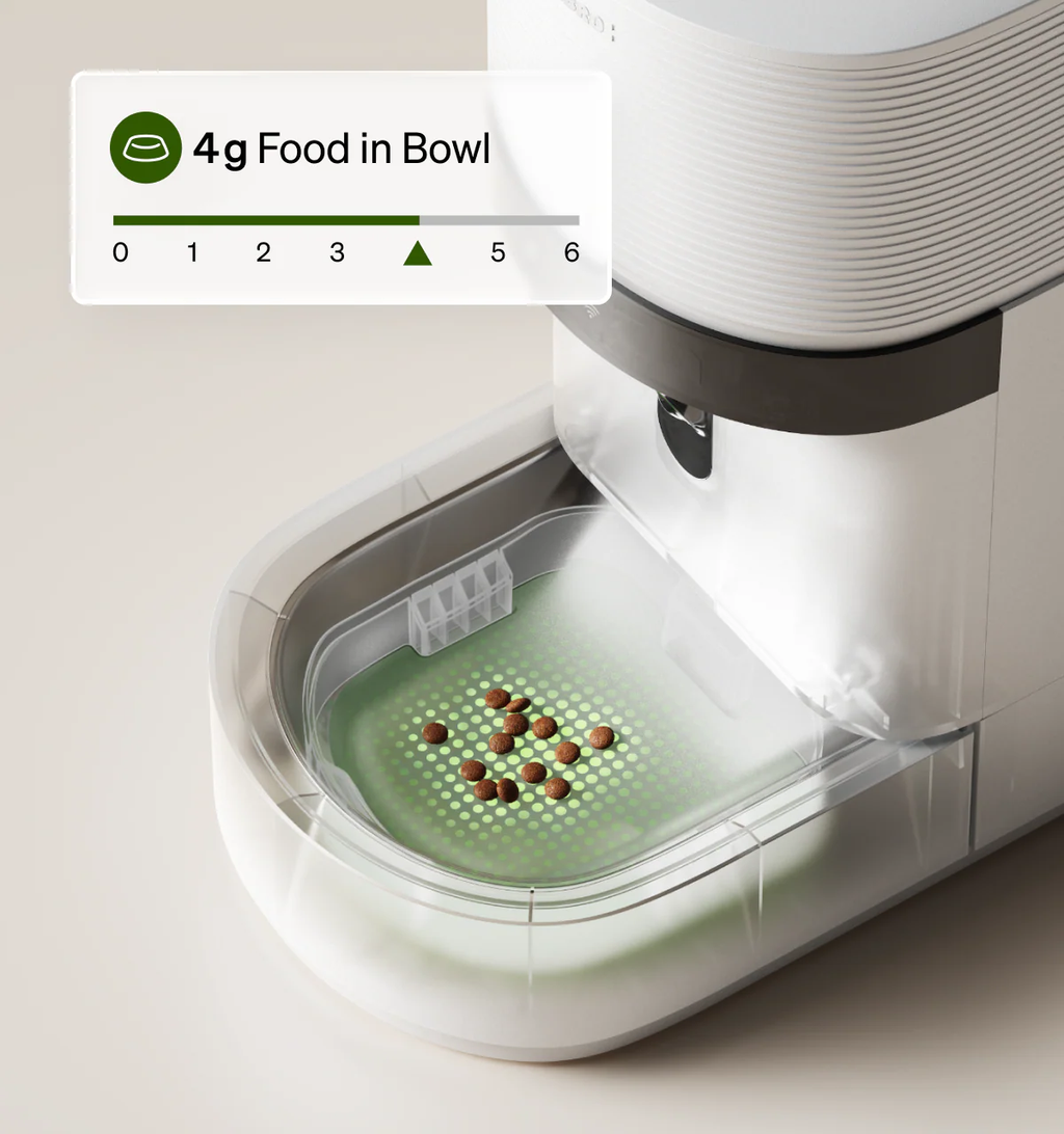 Smart Automatic Pet Feeder with AI Meal Tracking & App Control – Personalized Feeding for Cats & Small Dogs