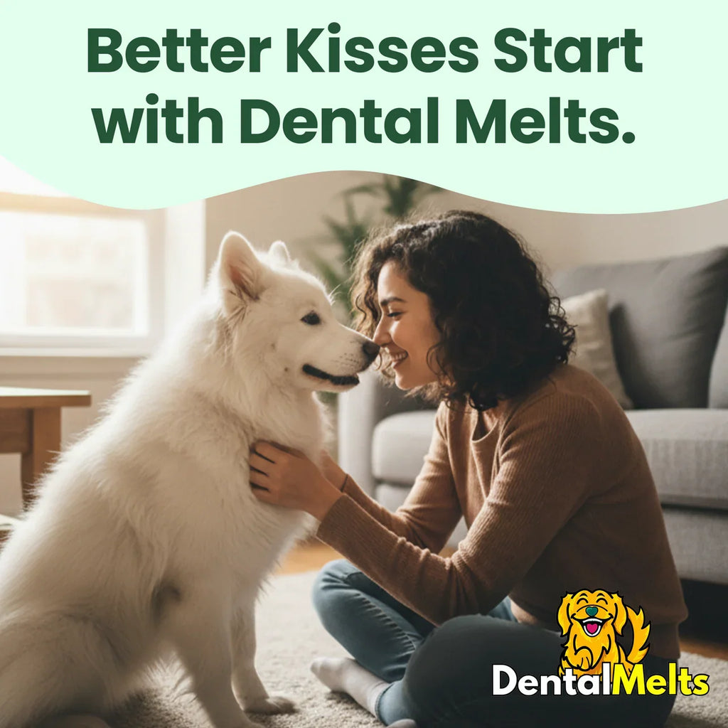 DentalMelts® | 10 Strips