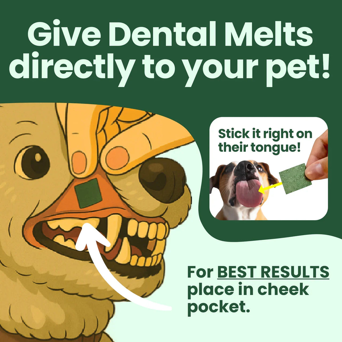 DentalMelts® | 10 Strips