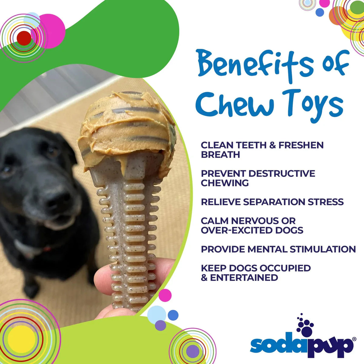 Large Honey Bone Dental Tower | Ultra Durable Nylon Chew Toy