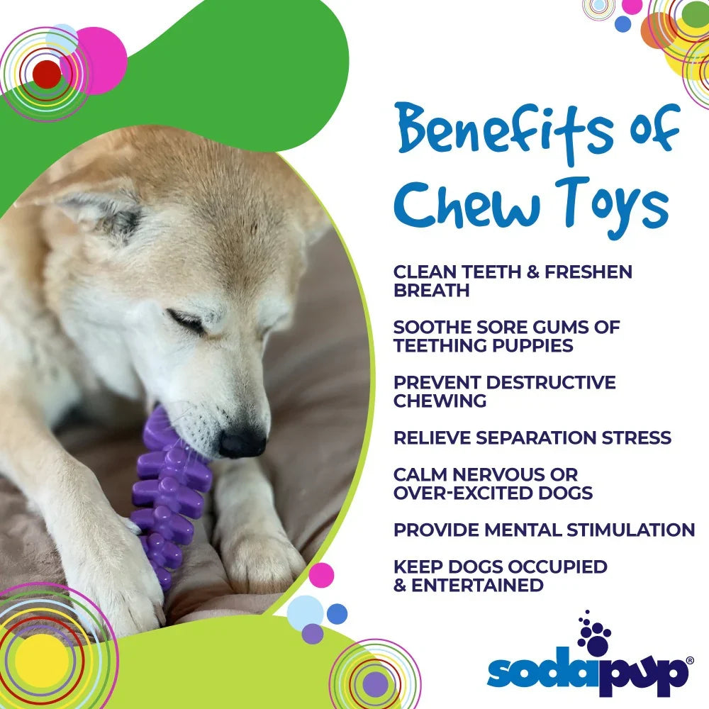 Fish Bone Nylon Chew Toy | Aggressive Chewers