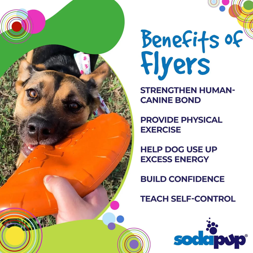Large Bottle Top Flyer Rubber Frisbee | Vet Approved