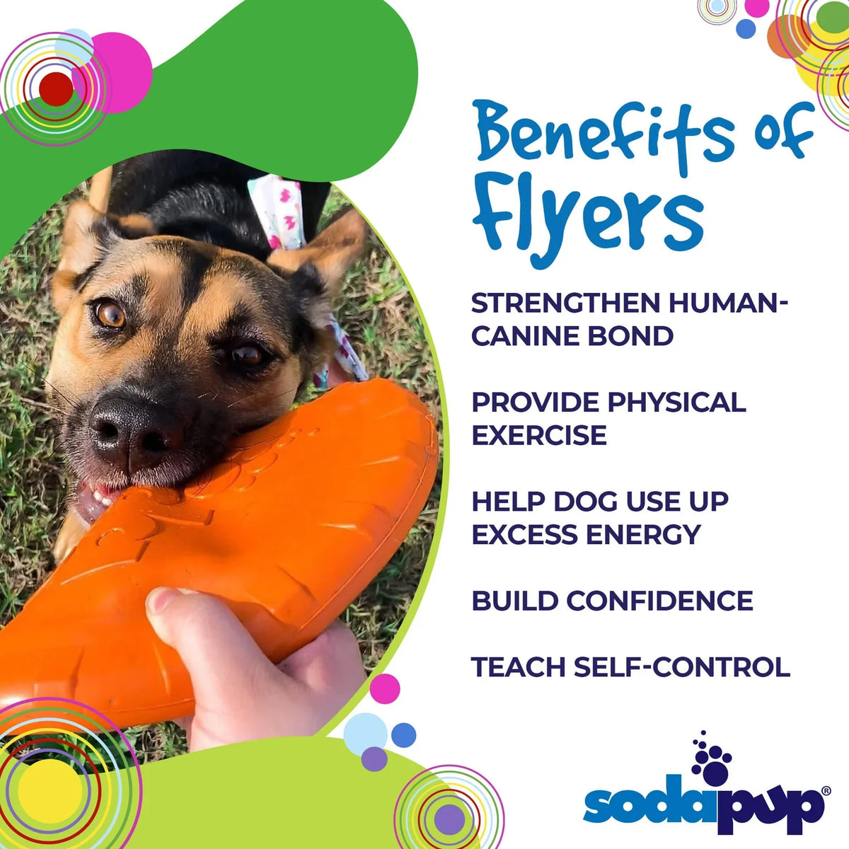 Large Bottle Top Flyer Rubber Frisbee | Vet Approved