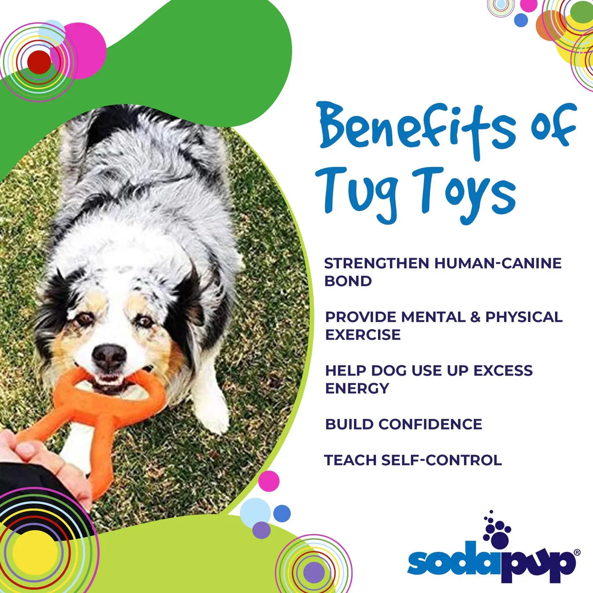 Pop Top Rubber Tug Toy | Interactive Play for Power Chewers