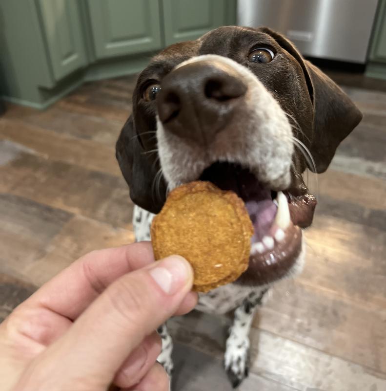 Alternative Protein Treats | Curated Selections