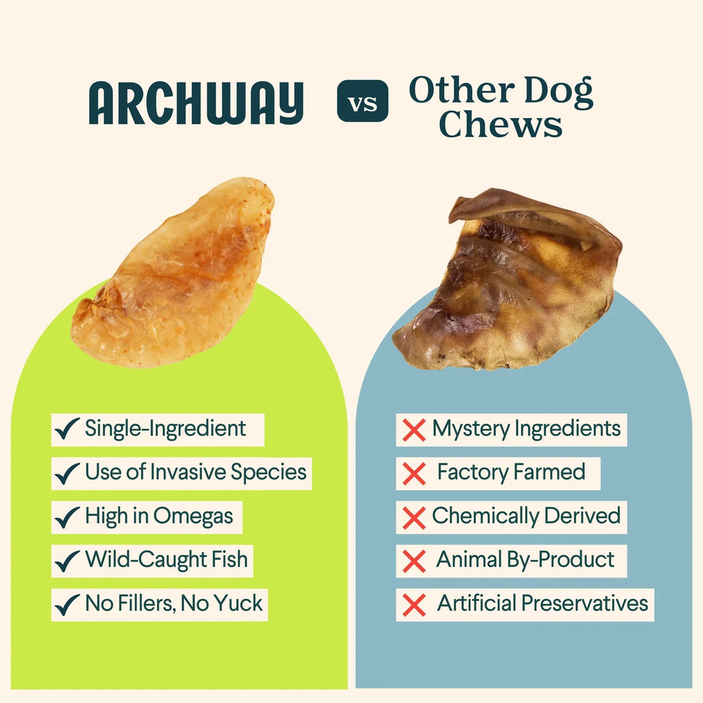 Dehydrated Fish Maws