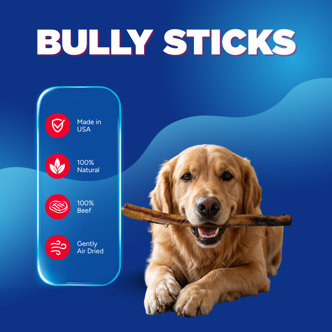 6" Standard USA Bully Sticks | Nearly Odorless, 6 Pack