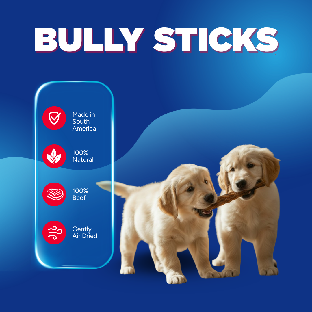 12" Thick Bully Sticks | Nearly Odorless, 6 Pack