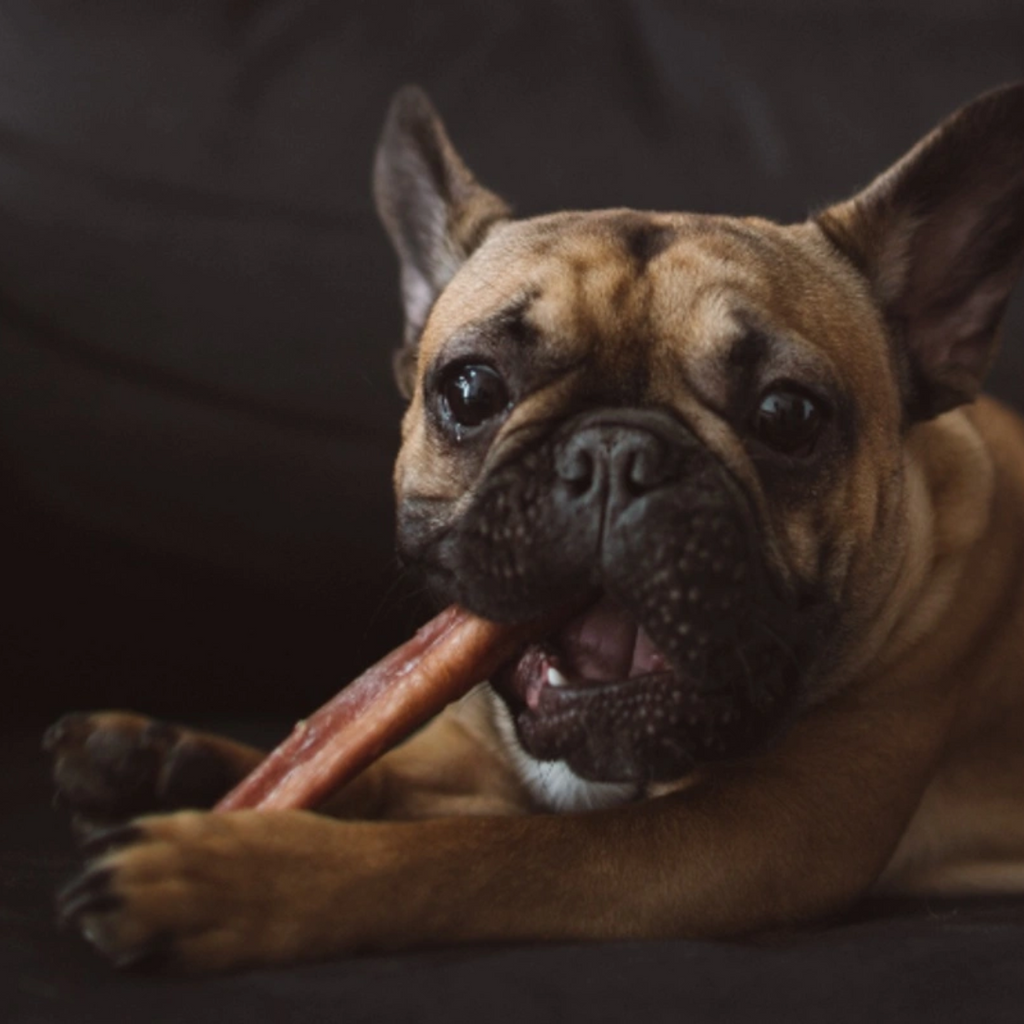 Bully Sticks