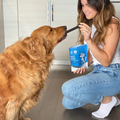 Dental Chews | Curated Selections