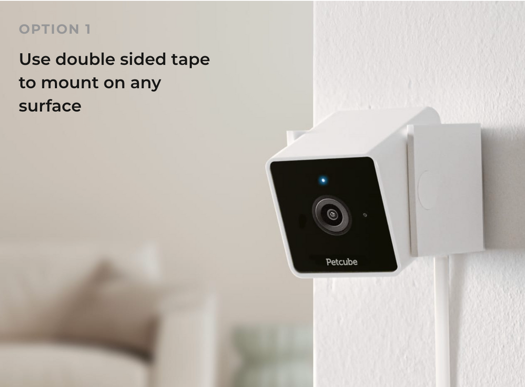 Petcube Cam