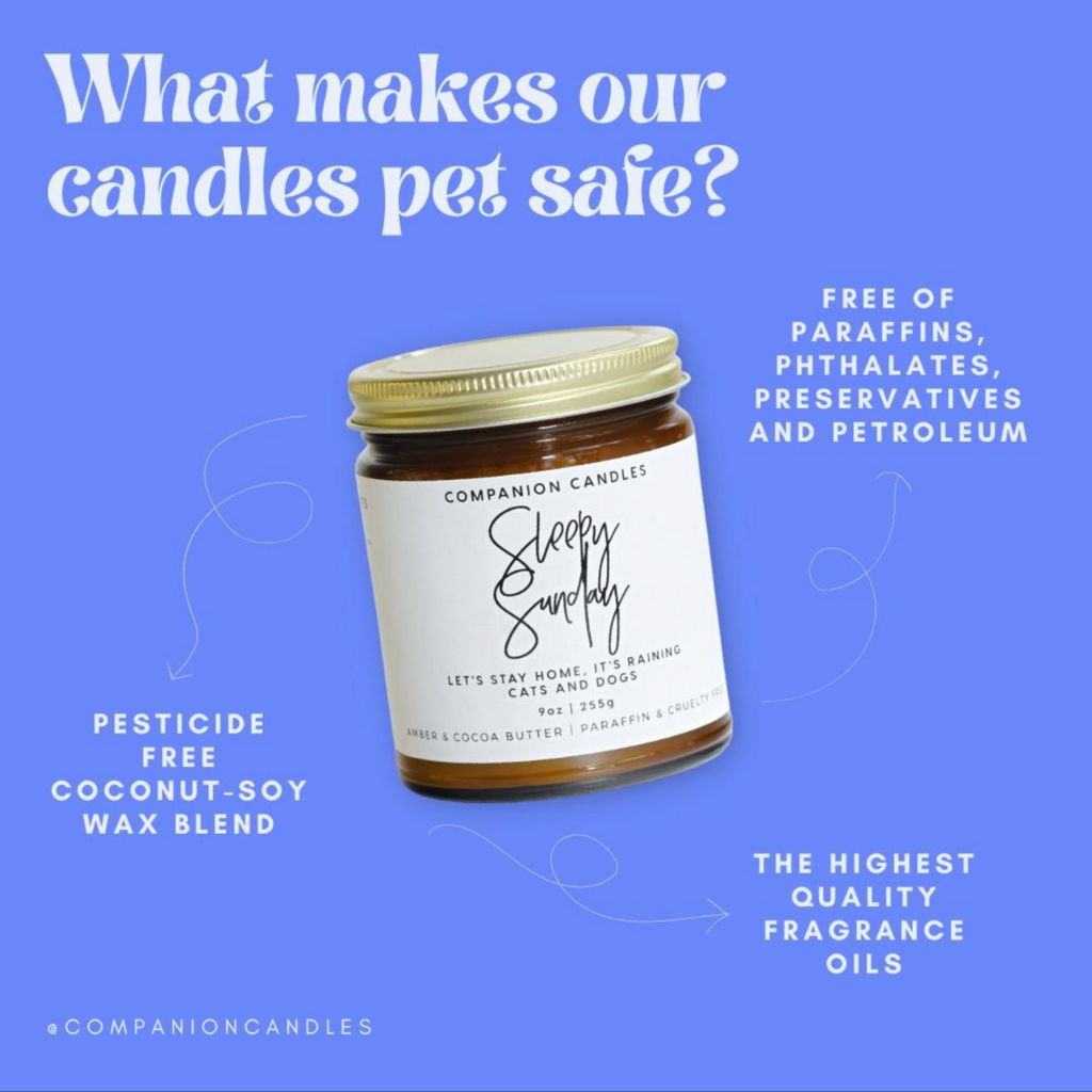 Nostalgia // Cashmere: Pet-Friendly Candle