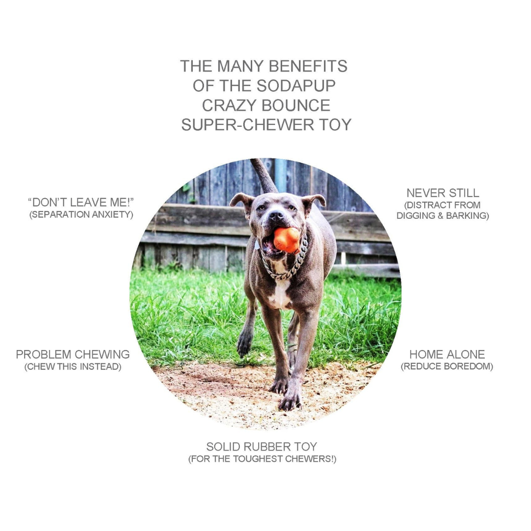 Large Crazy Bounce | Ultra Durable Rubber Toy