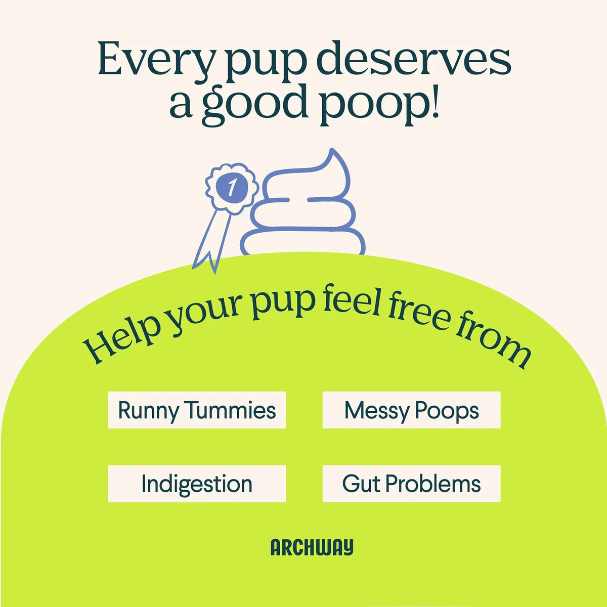 Digestive Health Treats