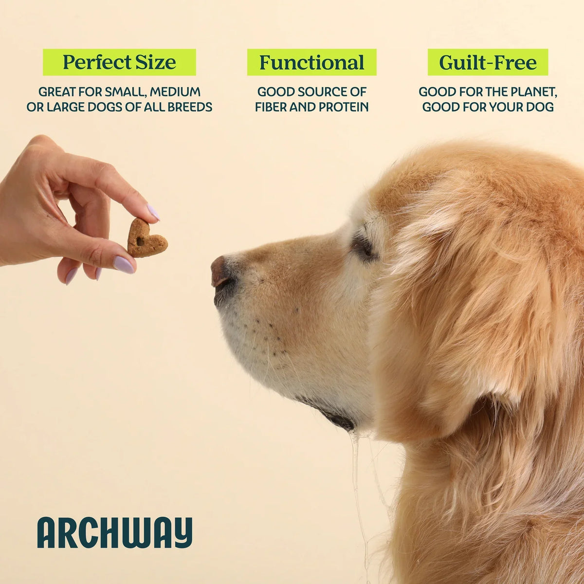 Digestive Health Treats