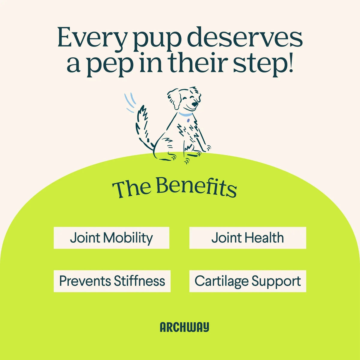 Hip and Joint Health Treats