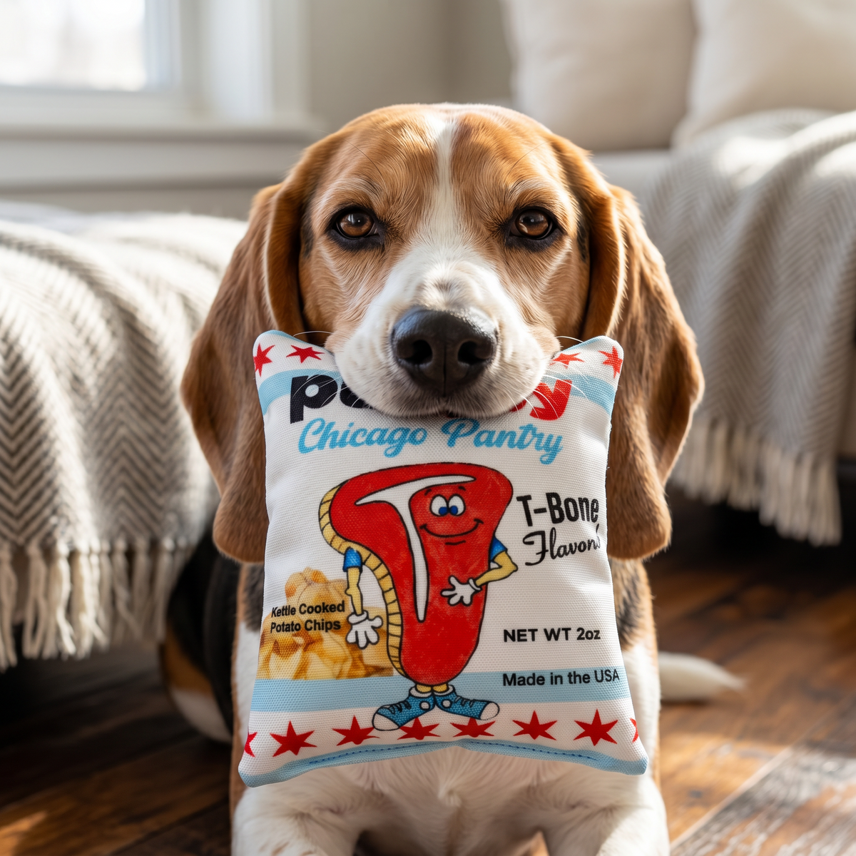 Chicago Pantry™ T-Bone Flavored Chips Dog Toy