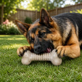 L/XL Chewer Toys | Curated Selections