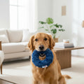 L/XL Plush Toys | Curated Selections