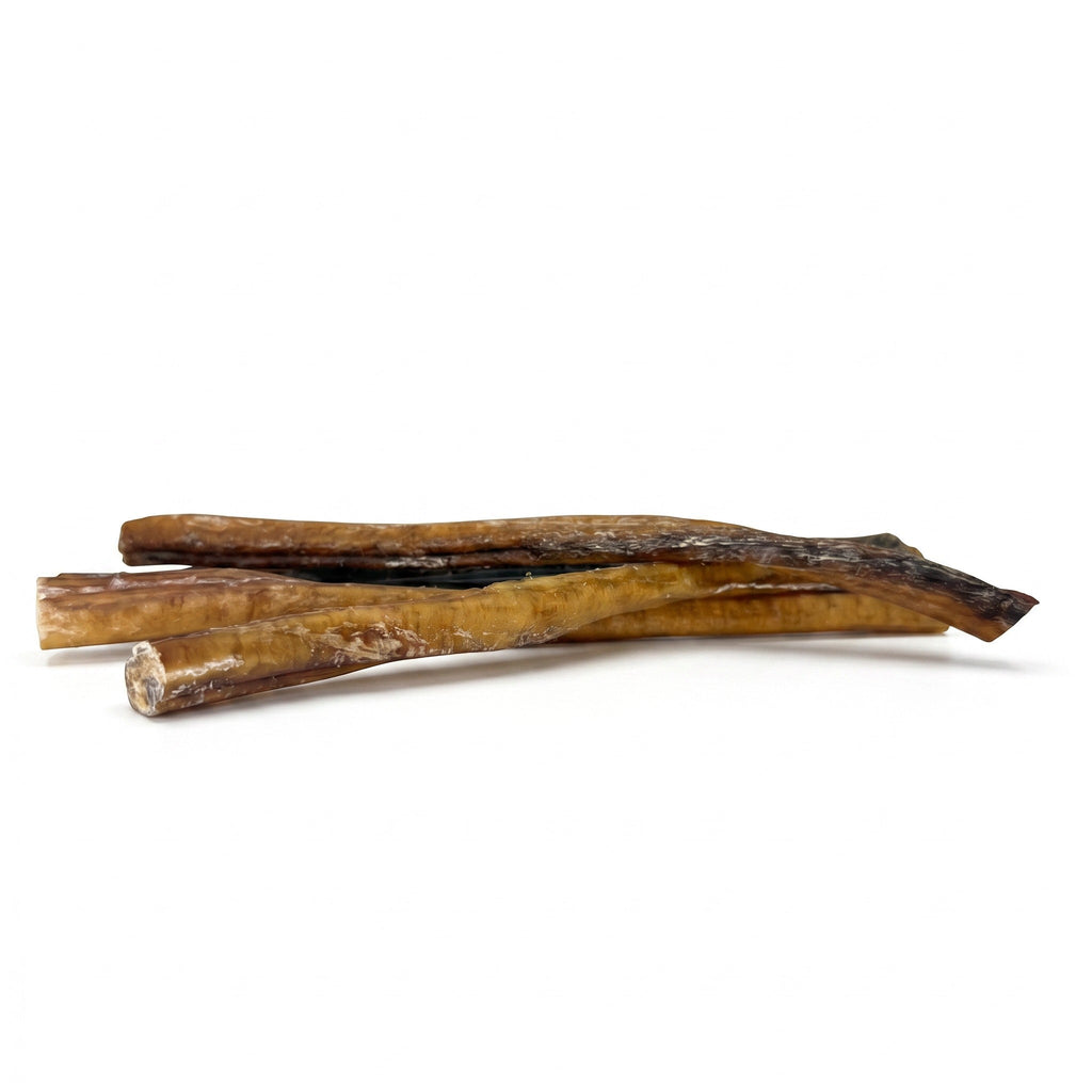 12" Standard Bully Sticks | Nearly Odorless, 6 Pack