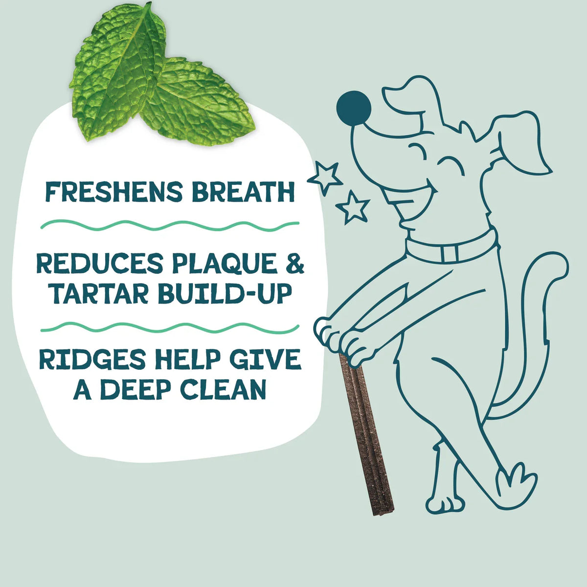 The Tooth Berry Dental Sticks Dog Treats