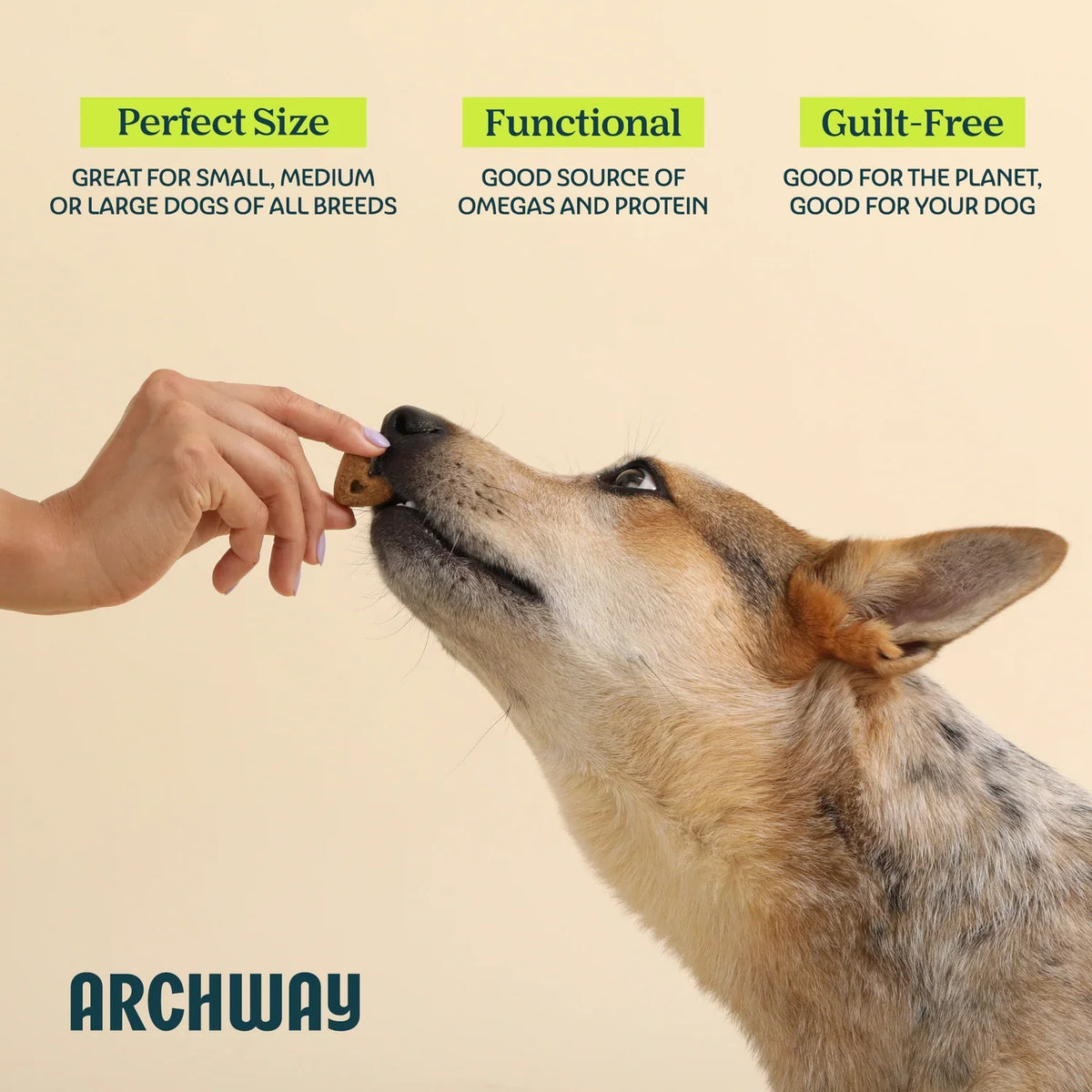 Hip and Joint Health Treats