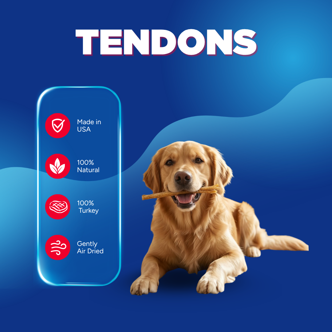 Turkey Tendons | Nearly Odorless, 1 pound