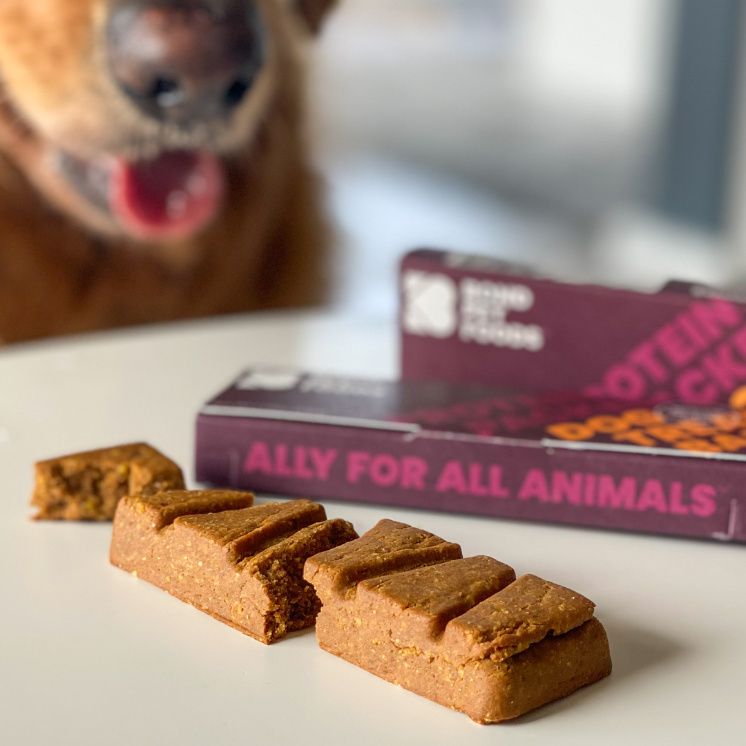 Soft & Chewy Treats | Curated Selections