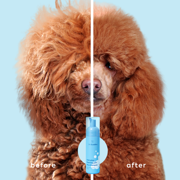 Everyday Dry Shampoo
