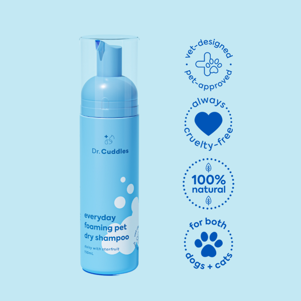 Everyday Dry Shampoo