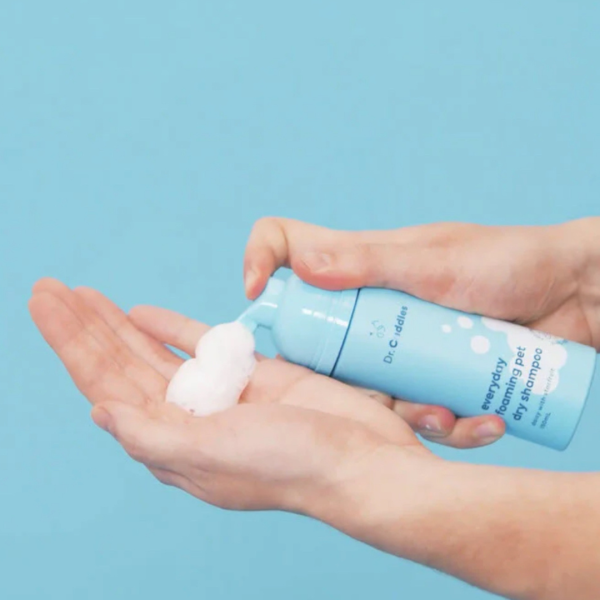 Everyday Dry Shampoo