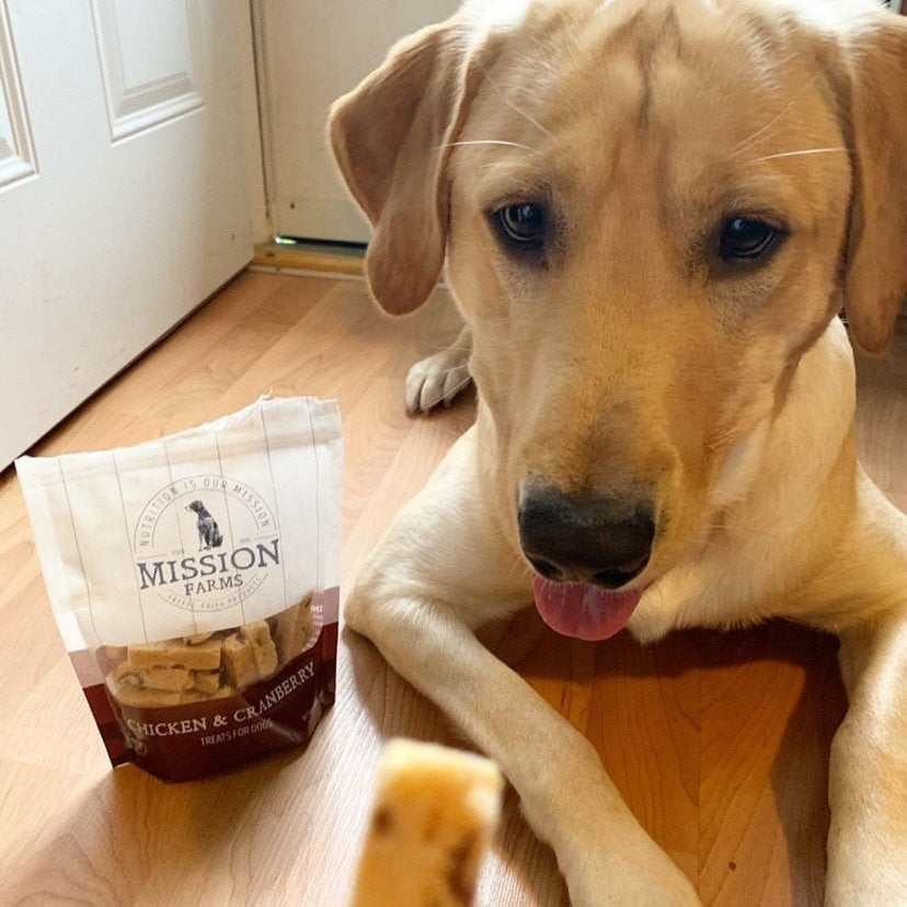 Air & Freeze Dried Treats | Curated Selections