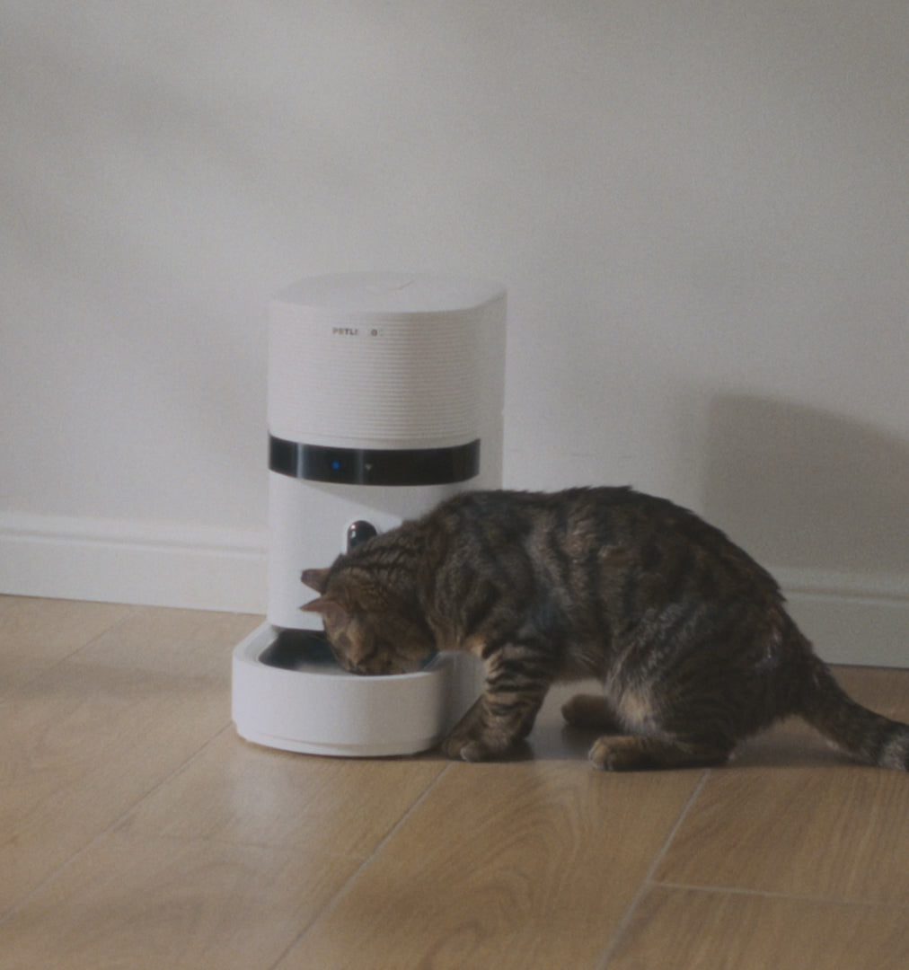 Smart Automatic Pet Feeder with AI Meal Tracking & App Control – Personalized Feeding for Cats & Small Dogs
