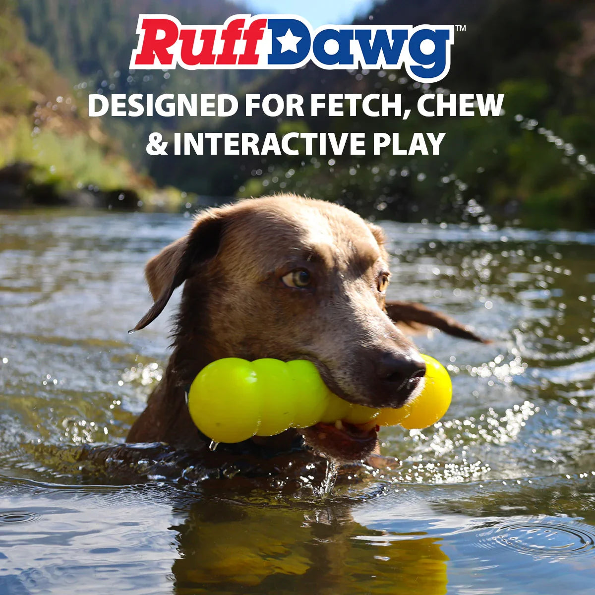 Ruff Dawg Dawg-Buster | Lifetime Guarantee