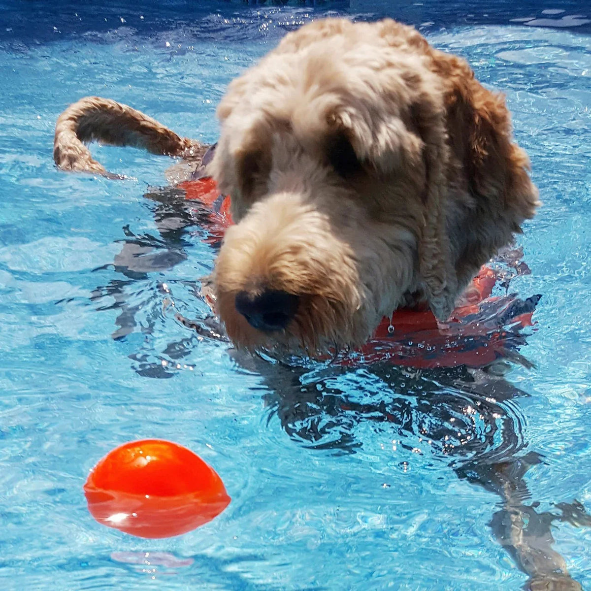 Ruff Dawg Rough Ball | Lifetime Guarantee
