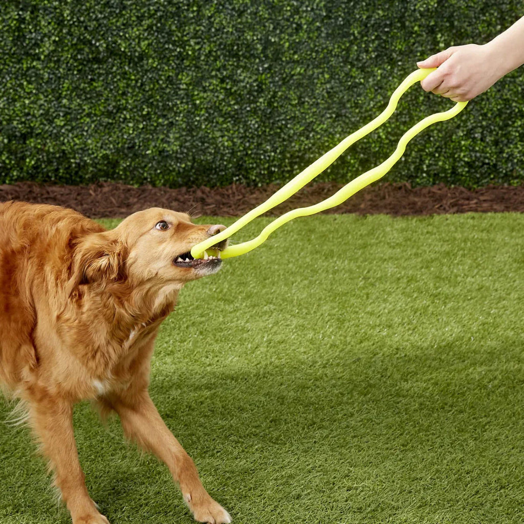 Ruff Dawg Super Tug | Lifetime Guarantee