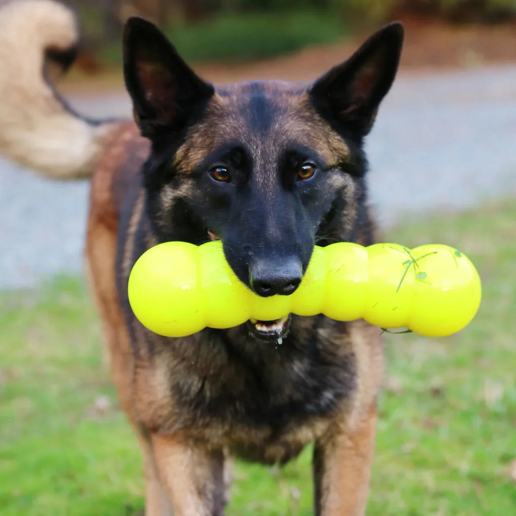 Ruff Dawg Dawg-Buster | Lifetime Guarantee
