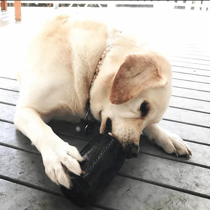 XL Magnum Soda Can | Extremely Durable Chew Toy & Dispenser