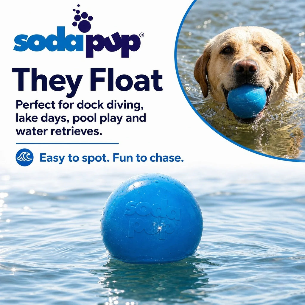 Glitter Ball | Soft PUP-X Rubber Floating Fetch Ball with Treat Dispenser
